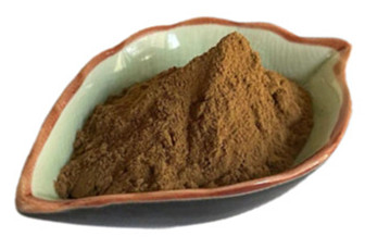 Cordyceps Extract.jpg